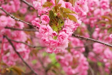 绍兴柯桥区3线下个人借款平台一站式服务，轻松解决资金难题