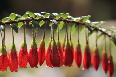 绍兴柯桥区3零用贷短借：轻松解决临时资金需求