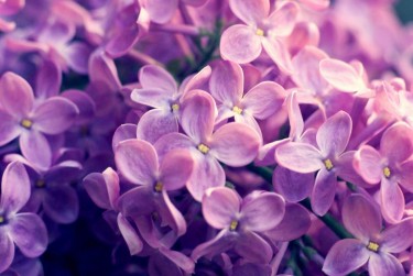 绍兴柯桥区3企业急用钱贷款攻略：快速融资解燃眉之急